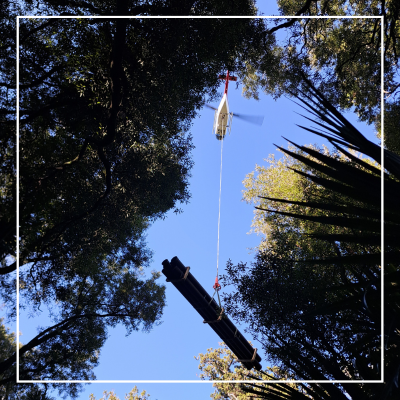 Department of Conservation DOC Department of Conservation DOC