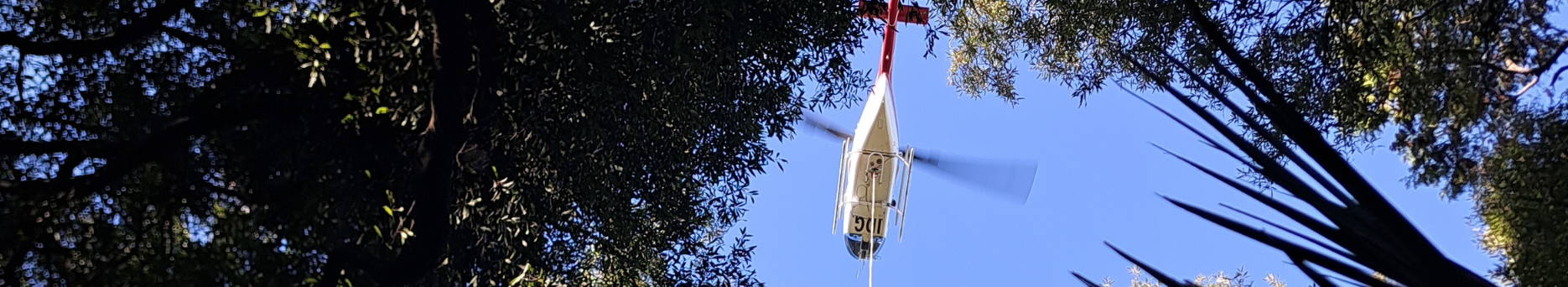 Infrapipe - Department of Conservation (DOC)