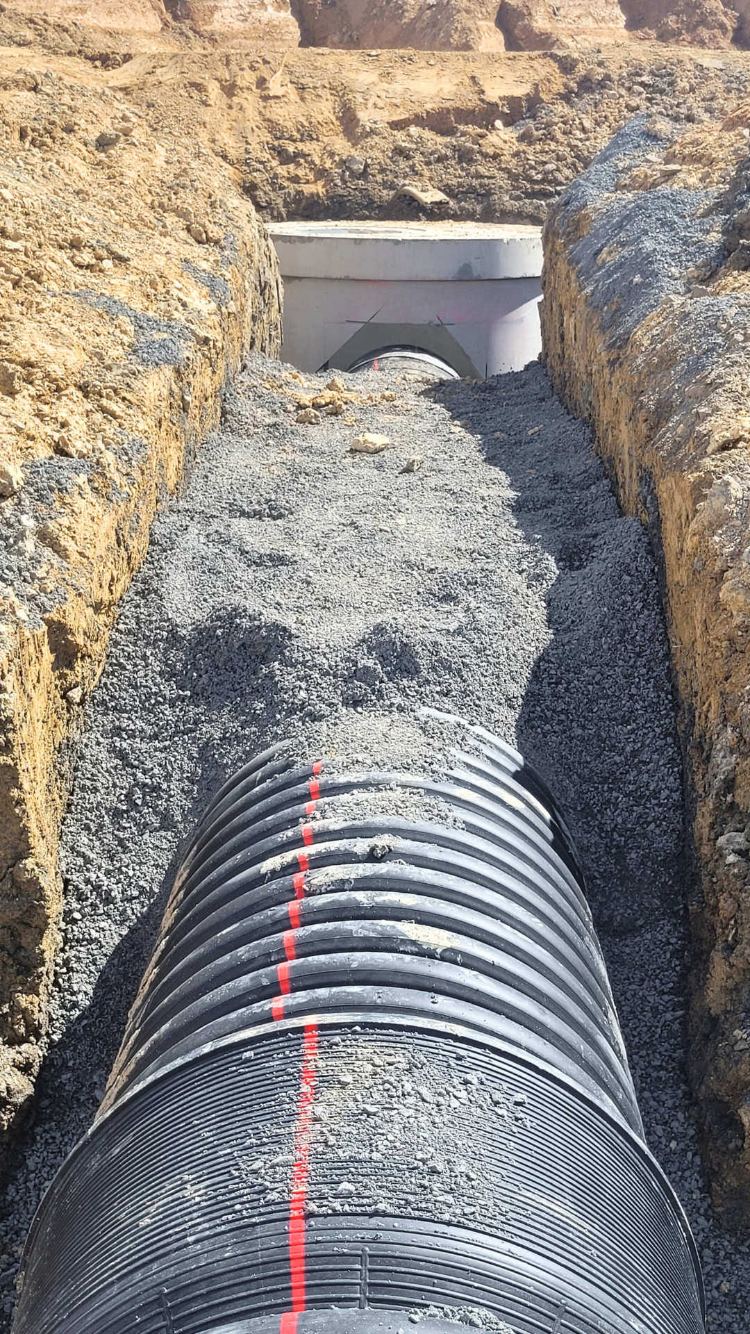 Port Nikau - Infrapipe - New Zealand